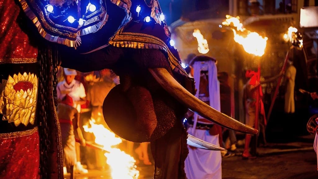 Kandy Esala Perahera