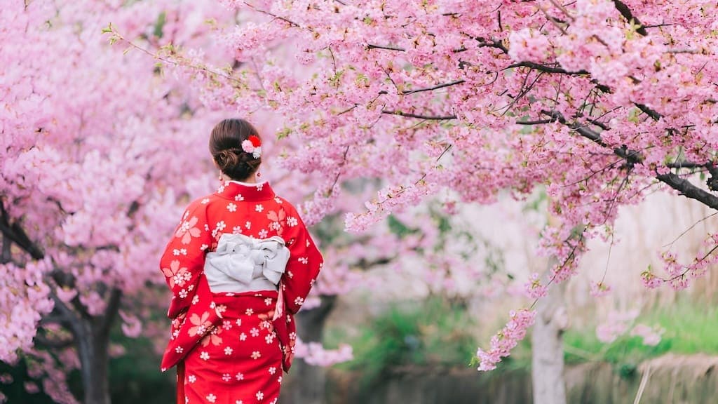 Hanami Japan