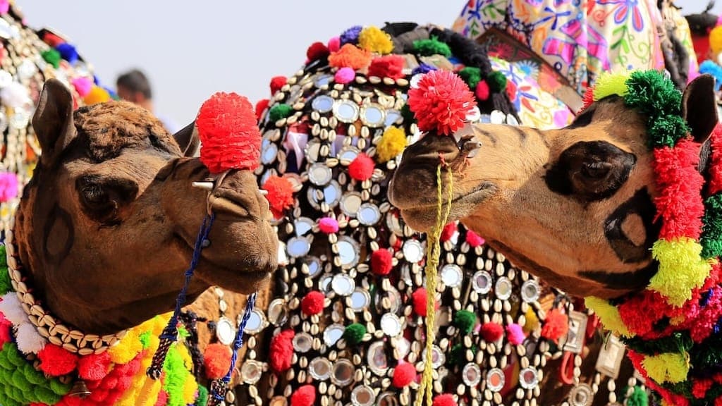 Pushkar Camel Fair