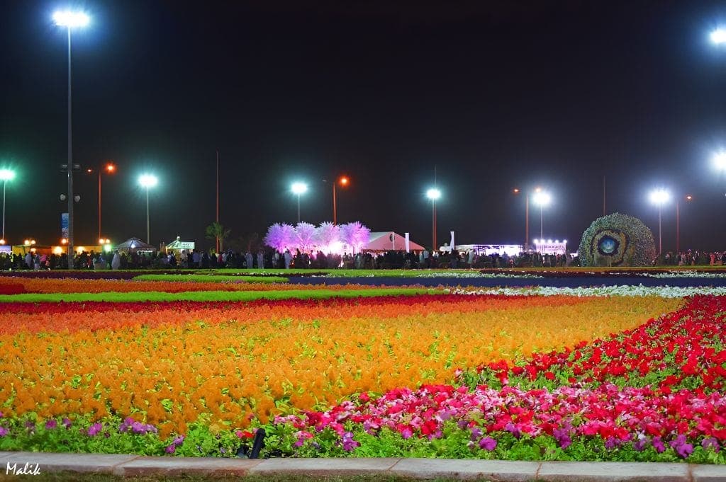 Riyadh Spring Festival in Saudi Arabia